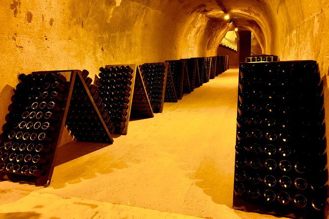private-full-day-tour-to-champagne-from-paris-visit-of-2-champagne-producers