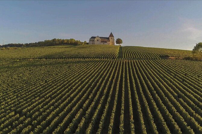 private-full-day-tour-to-champagne-from-paris-visit-of-2-champagne-producers