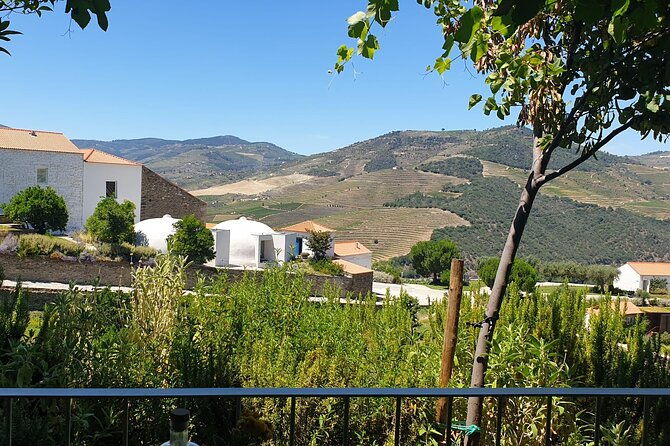 private-full-day-tour-to-douro-valley