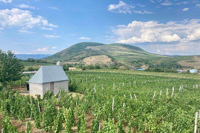 private-full-day-tour-to-eger-history-culture-and-wine