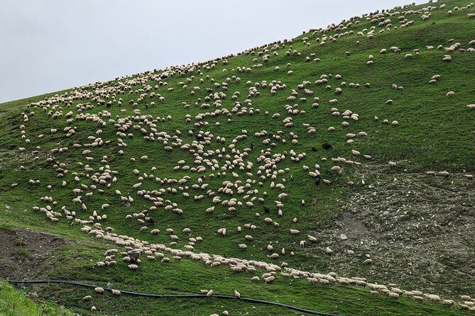 private-full-day-tour-to-kazbegi-and-gudauri-from-tbilisi-3