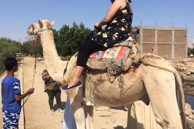 Private Full Day Tour To Luxor from Cairo by Plane,special day - The Experience in Detail