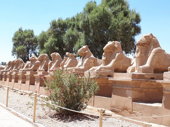 Private Full Day Tour to Luxor from Cairo with Flight - Final Thoughts