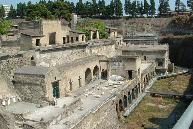 private-full-day-tour-to-pompeii-and-mt-vesuvius-with-winery-visit-4
