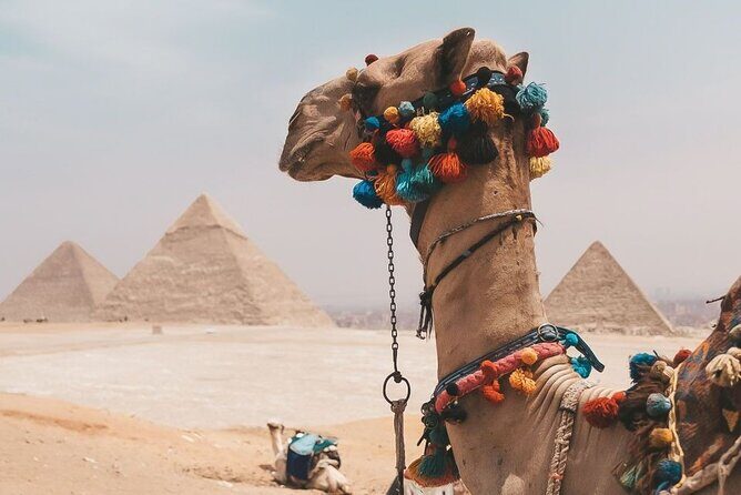 Private Full Day Tour to The Great Pyramids & Egyptian Museum - Transportation and Timing