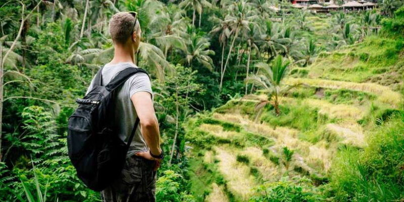private-full-day-tour-to-the-real-bali-swing-and-ubud