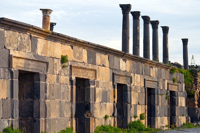 Private Full Day Tour to Umm Qais and Ajloun from Amman - Authentic Insights from Reviewers