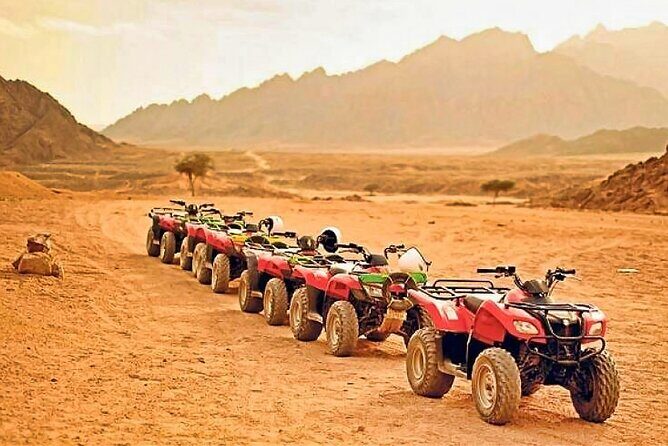 Private Full-Day Tour to West and East Bank of Luxor - The Marvel of the East Bank: Karnak and Luxor Temples