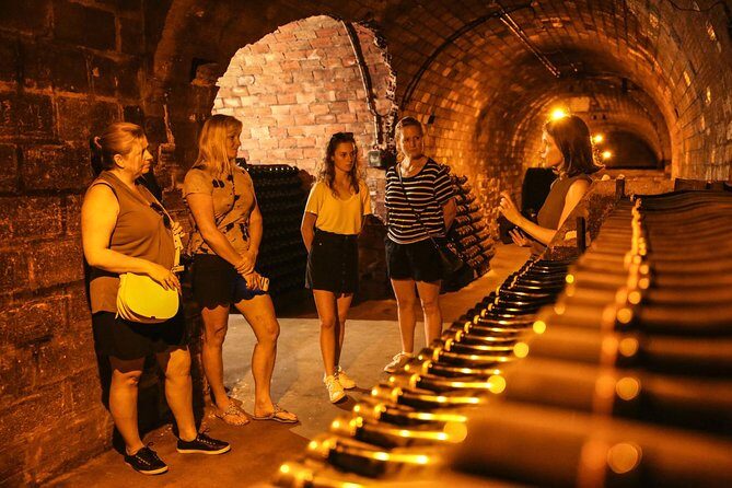 Private Full Day Tour - Visit of 3 Champagne Growers from Reims. - FAQs