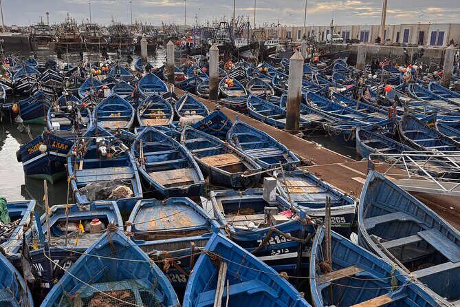Private Full Day Trip Essaouira from Marrakech - Who Is This Tour Best For?
