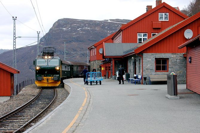 private-full-day-trip-from-oslo-to-bergen-with-sognefjord-and-flam-railway