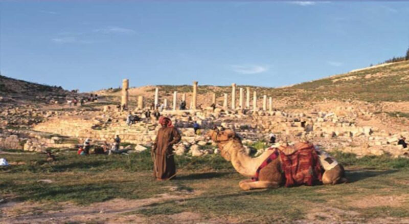 Private Full Day Trip of Umm Qais, and Pella from Amman - Frequently Asked Questions