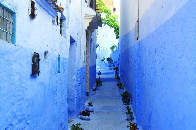 Private Full Day Trip To Chefchaouen From Fez - Who Is This Tour For?