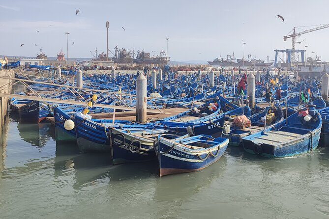 Private Full Day Trip to Essaouira from Marrakech- included Lunch - How the Tour Works: From Marrakech to Essaouira