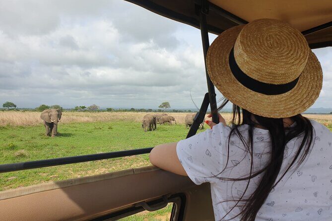 Private Full-Day Trip to Mikumi National Park from Dar es Salaam - Introduction