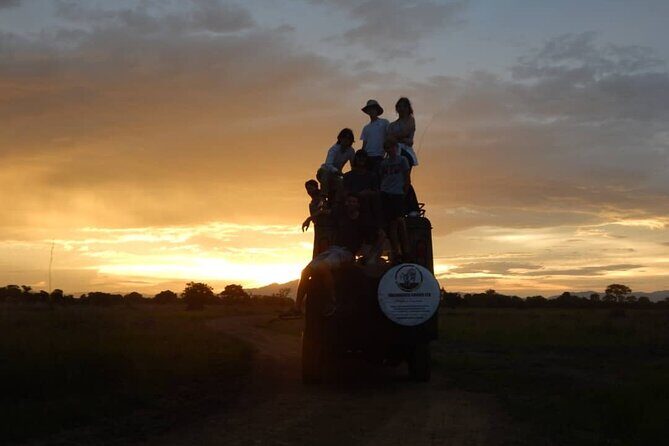 Private Full-Day Trip to Mikumi National Park from Dar es Salaam - What Travelers Love About This Tour  