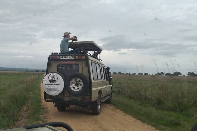 Private Full-Day Trip to Mikumi National Park from Dar es Salaam - Who Should Consider This Tour?  