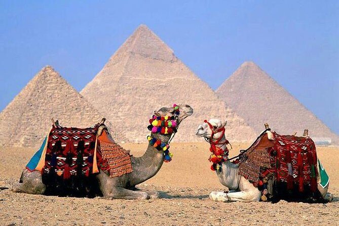 Private Full- Day Trip to Pyramids, Egyptian Museum & Khan el khallil - The Buzzing Khan el Khalili Bazaar