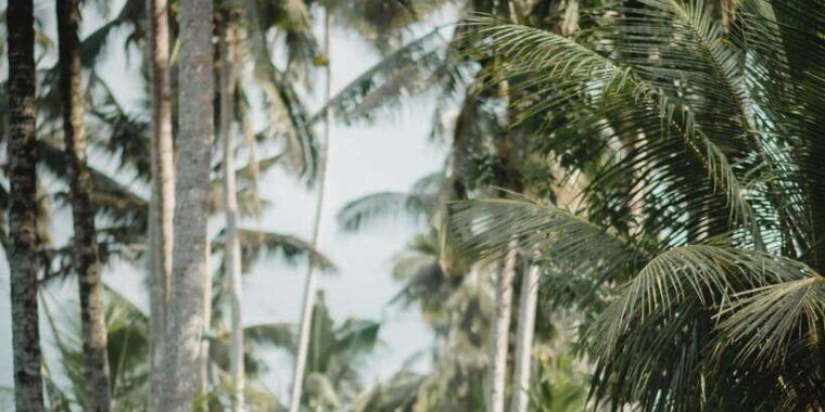 private-full-day-ubud-tour-and-sightseeing