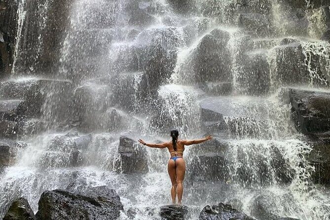 Private Full Day Ubud Tour - Key Points