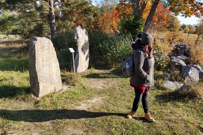 private-full-day-viking-history-tour-from-stockholm-including-sigtuna-and-uppsala
