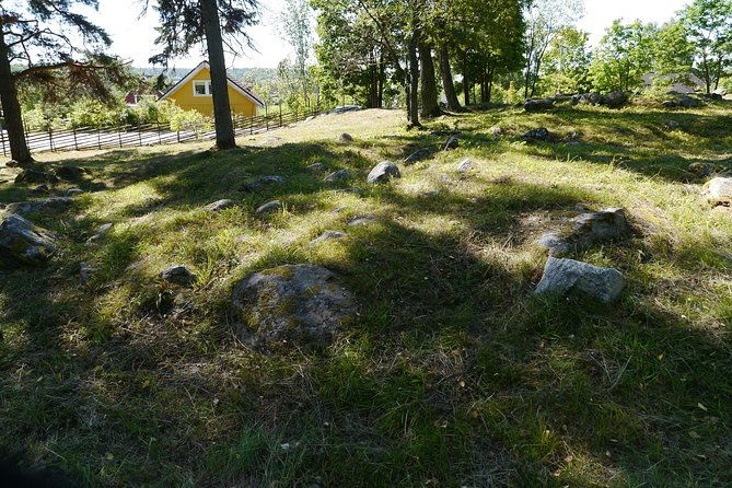 private-full-day-viking-history-tour-from-stockholm-including-sigtuna-and-uppsala