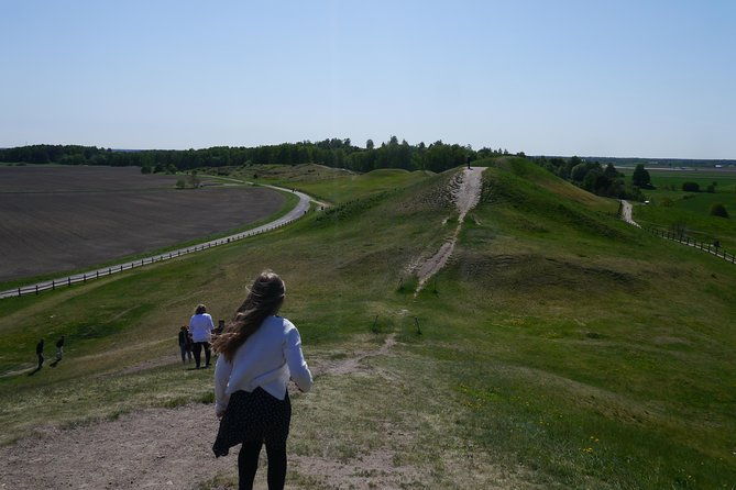private-full-day-viking-history-tour-from-stockholm-including-sigtuna-and-uppsala