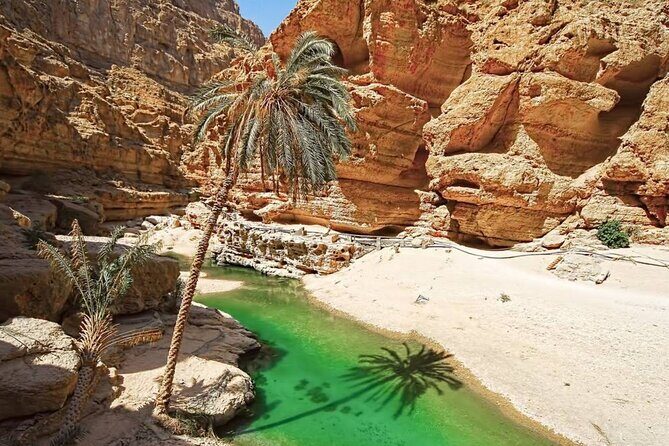 Private Full-Day Wadi Shab and Bimmah Sinkhole Tour - What to Expect on the Day