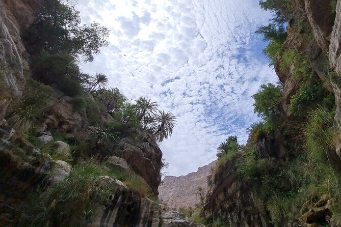 Private Full-Day Wadi Tiwi and Bimmah Sinkhole Tour from Muscat - Authentic Experiences and Review Insights