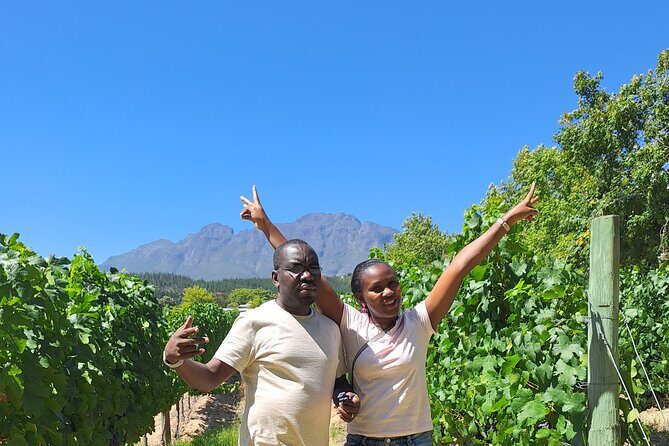 Private Full Day Wine Tasting in Cape Town - Additional Details