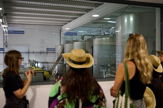 private-full-day-wine-tasting-tour-from-lisbon-to-setubal