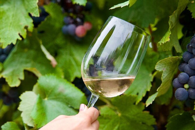 private-full-day-wine-tasting-tour-from-lisbon-to-setubal