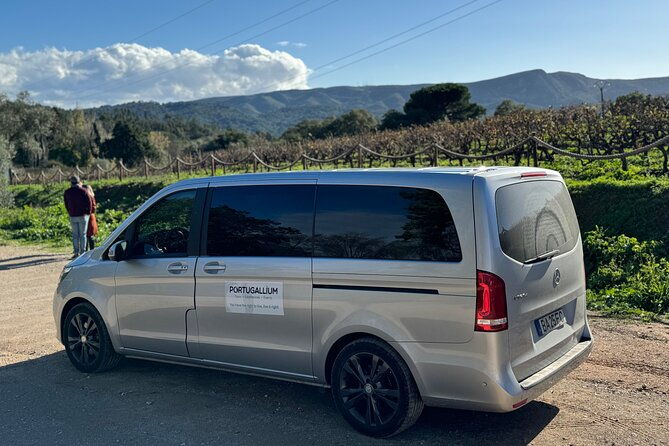 private-full-day-wine-tour-arrabida-from-lisbon-with-tastings