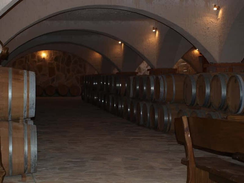 Private Full-Day Wine Tour from Dubrovnik to Peljesac - Why the Reviews Reflect This Tour’s Strengths