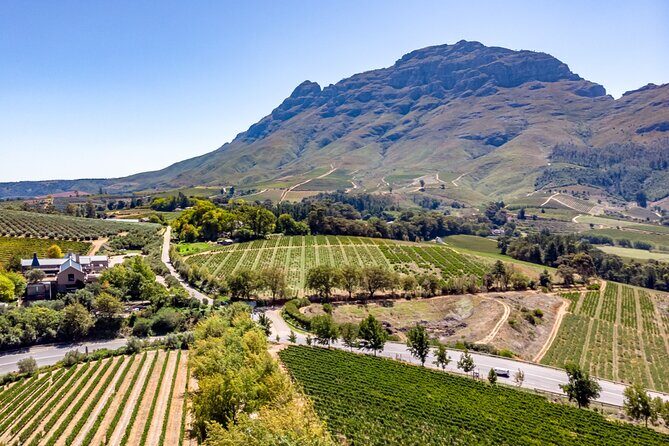 Private Full Day Wine Tour in Cape Town - Final Thoughts: Is This Tour for You?
