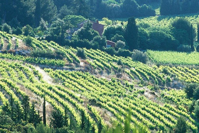 private-full-day-wine-tour-in-provence