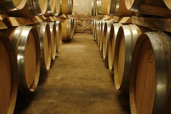 Private Full Day Wine Tour in Provence From Marseille cruise port - Key Points
