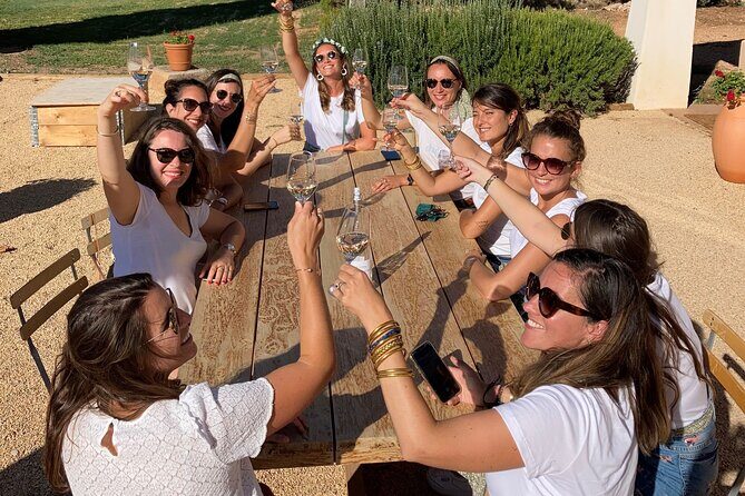 Private Full Day Wine Tour in Provence From Marseille cruise port - The Sum Up
