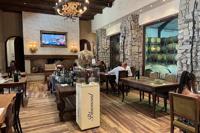 Private Full Day Wine Tour: Stellenbosch and Franschhoek & Paarl - An In-Depth Look at the Itinerary