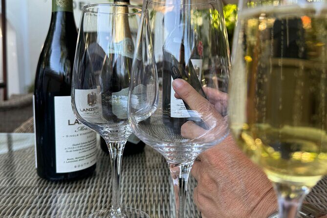 Private Full Day Wine Tour: Stellenbosch and Franschhoek & Paarl - Who Is This Tour Best For?