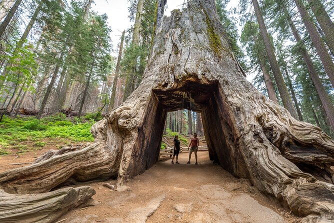 private-full-day-yosemite-national-park-tour-from-san-francisco