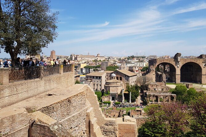private-full-tour-colosseum-forum-palatine-all-options
