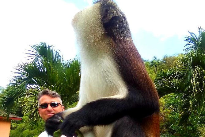 private-fun-tour-in-grenada