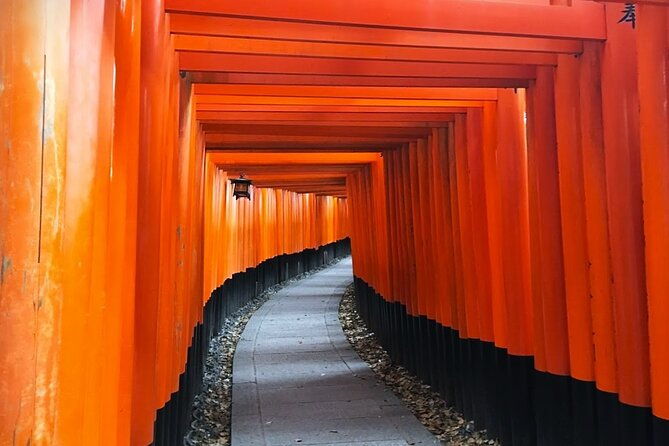 private-fushimi-red-gates-secret-bamboo-mountain-trekking-tour