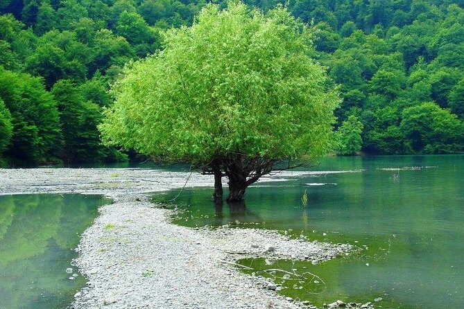 Private Gabala Tour - Who Is This Tour Perfect For?