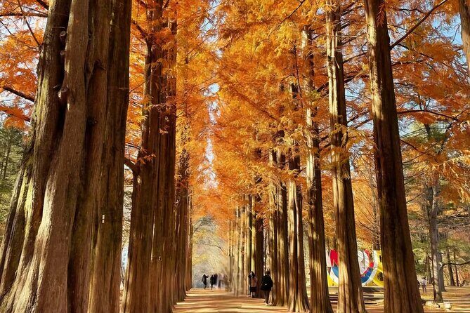 Private Garden of Morning Calm Experience - The Sum Up: Is This Tour Right for You?