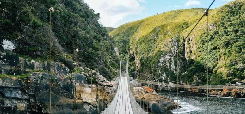 Private Garden Route Tour from Cape Town for 5 Days or more - Who Would Love This Tour?
