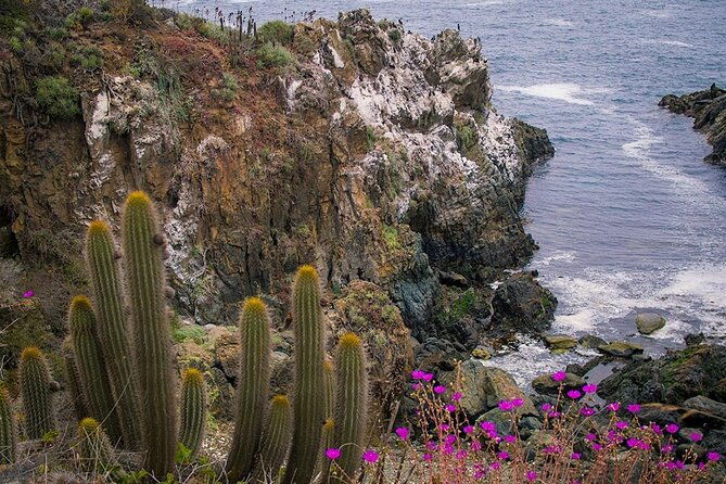 private-garden-tour-in-central-coast-of-chile-with-lunch-included