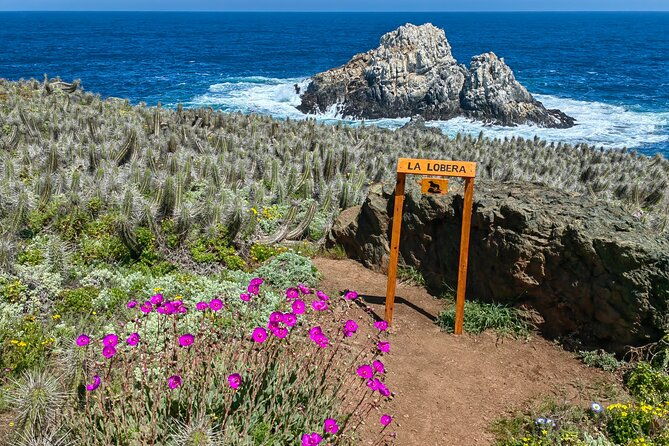 private-garden-tour-in-central-coast-of-chile-with-lunch-included