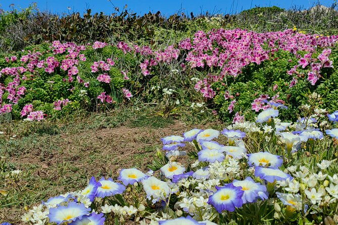 private-garden-tour-in-central-coast-of-chile-with-lunch-included